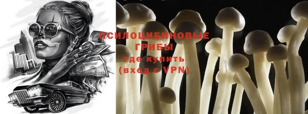 МДПВ Гусиноозёрск