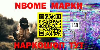 spice Гатчина