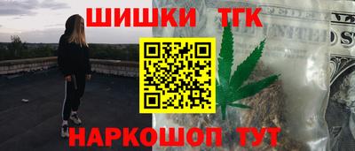 spice Гатчина