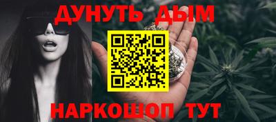 spice Гатчина