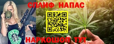 spice Гатчина