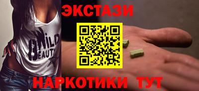 spice Гатчина