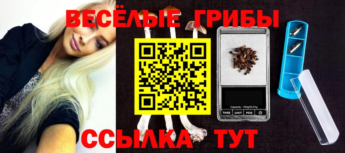 Галлюциногенные грибы MAGIC MUSHROOMS  Псилоцибиновые грибы ЛСД  Вход с VPN  Еманжелинск 